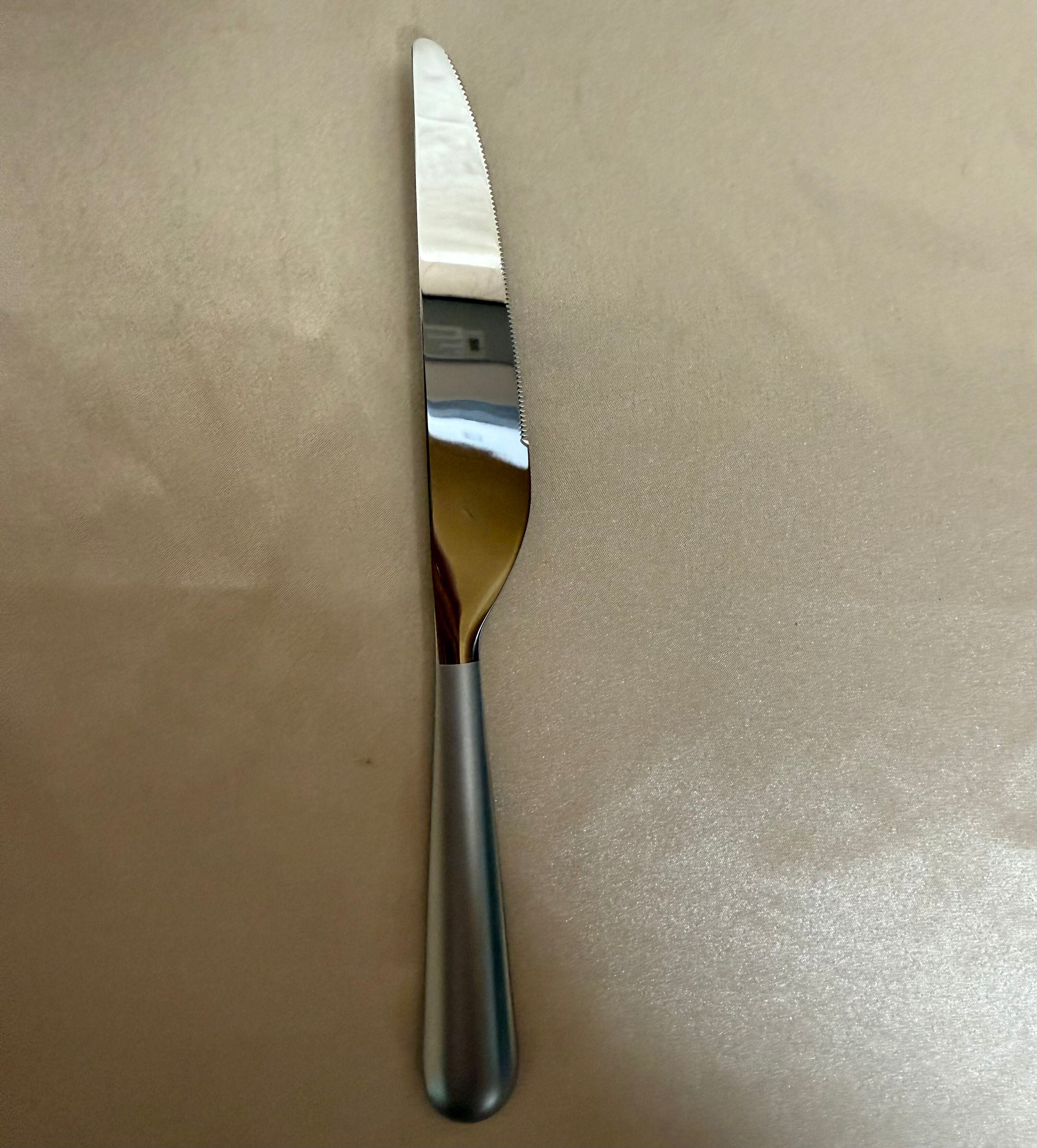 Christofle Origine Matte Stainless Steel Dinner Knife Set of 12 2452012