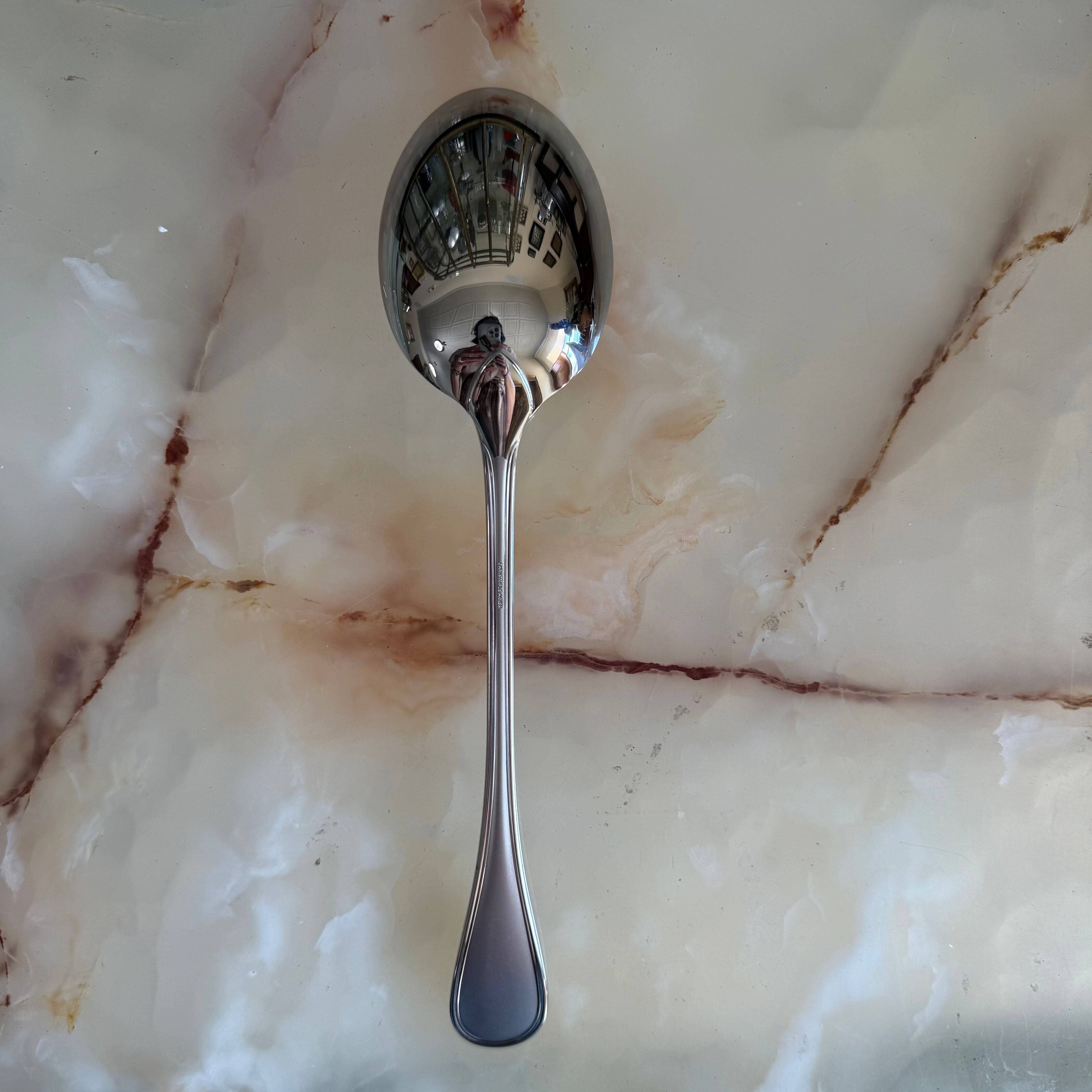 Christofle Albi Satin Stainless Steel Serving Spoon Large 2424006