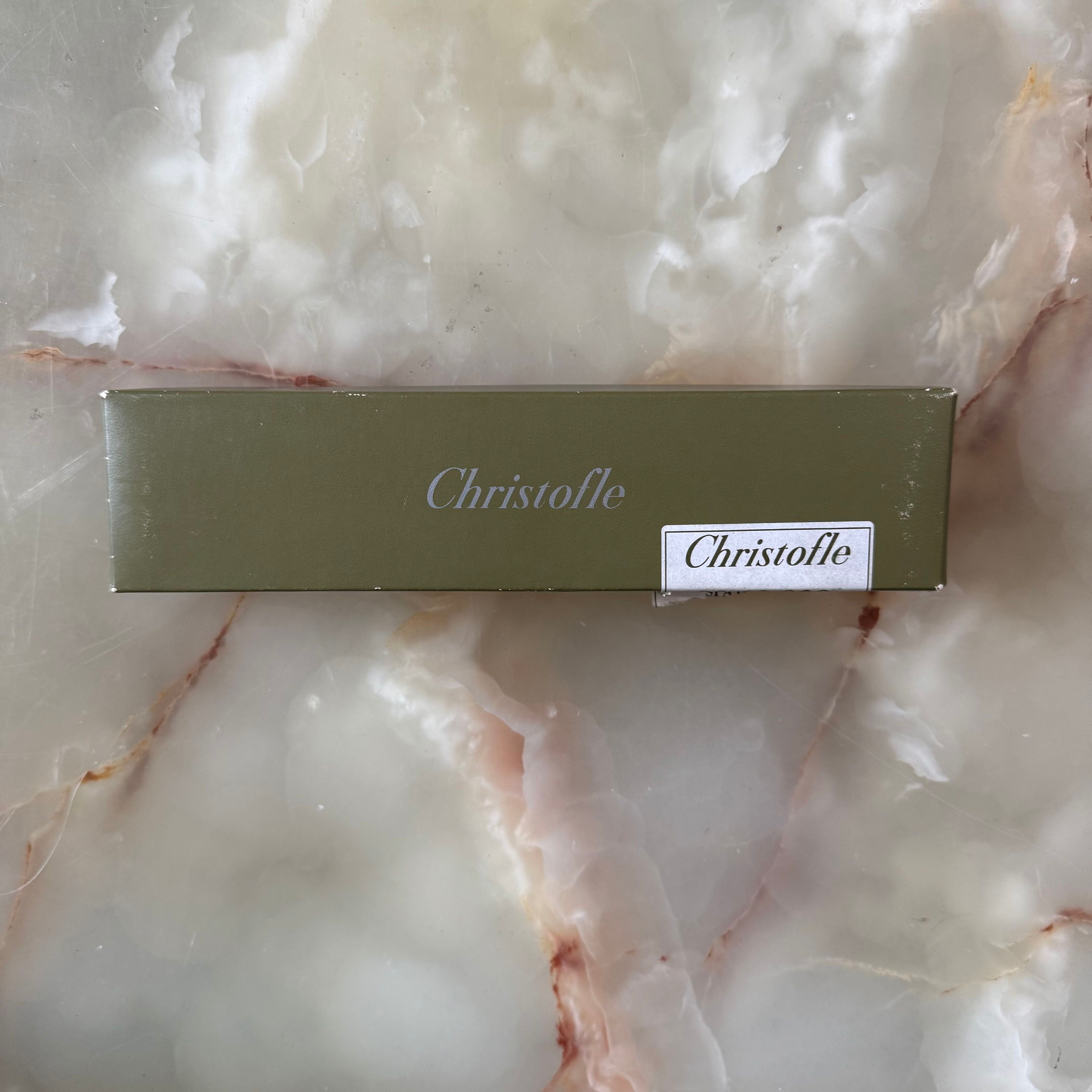 Christofle Albi Satin Stainless Steel Serving Spoon Large 2424006