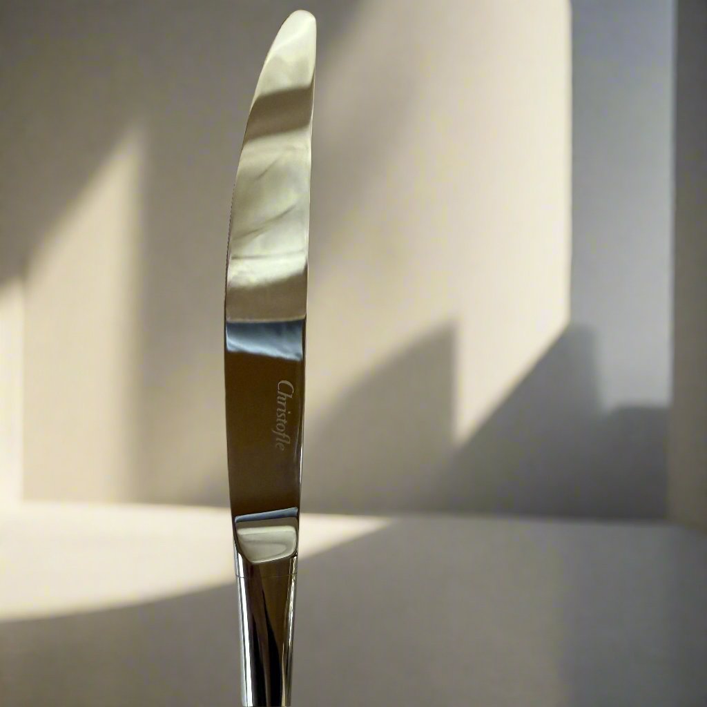 Christofle Elementaire Dinner Knife Set of 12 2409012