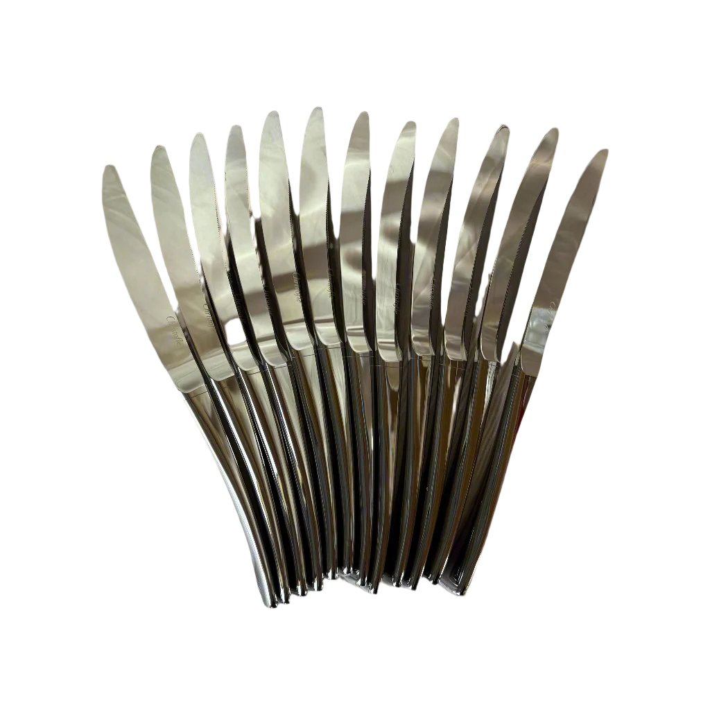 Christofle Elementaire Dinner Knife Set of 12 2409012