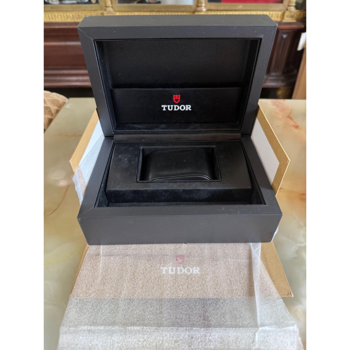Tudor Pelagos Titanium Blue Automatic Watch 25600TB