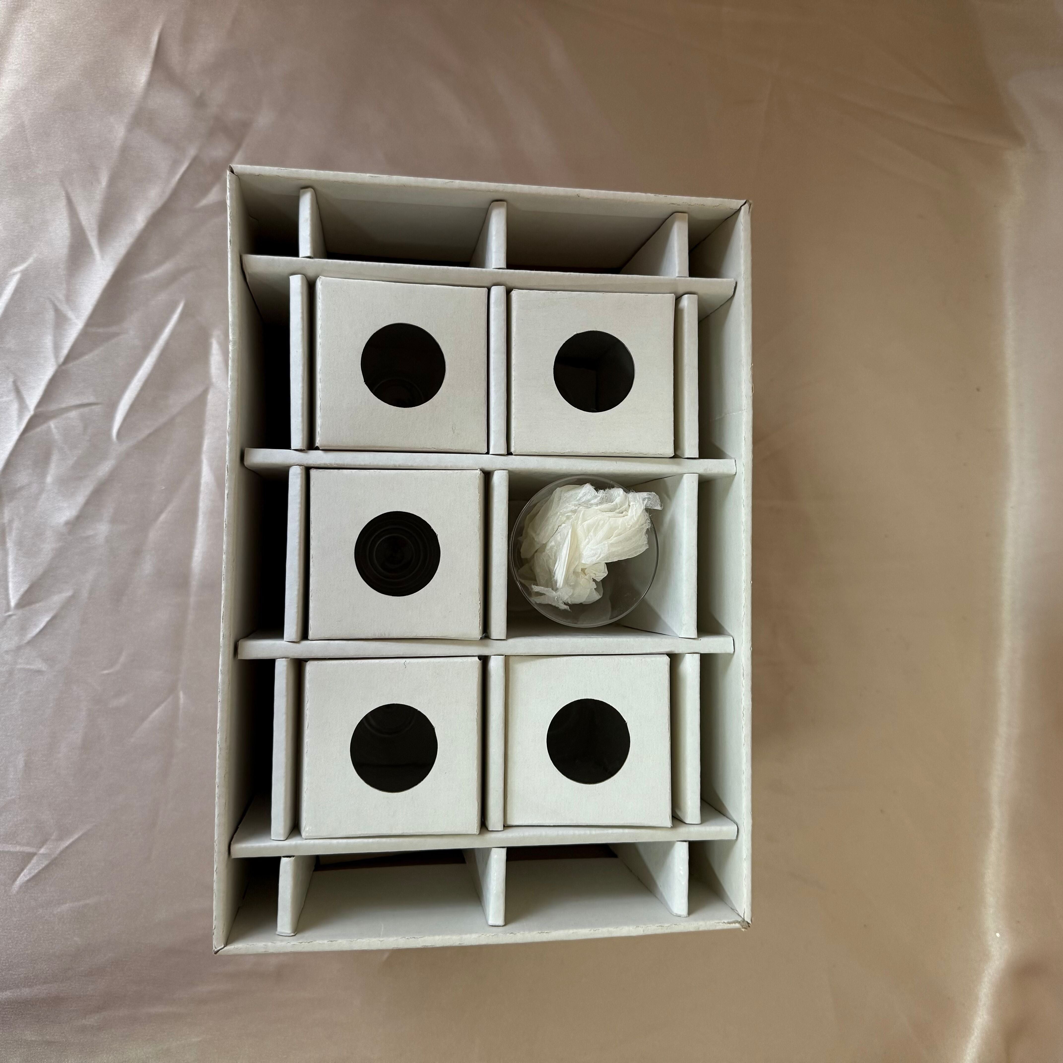 Set of 12 Lalique Guebwiller Crystal Champagne Flutes