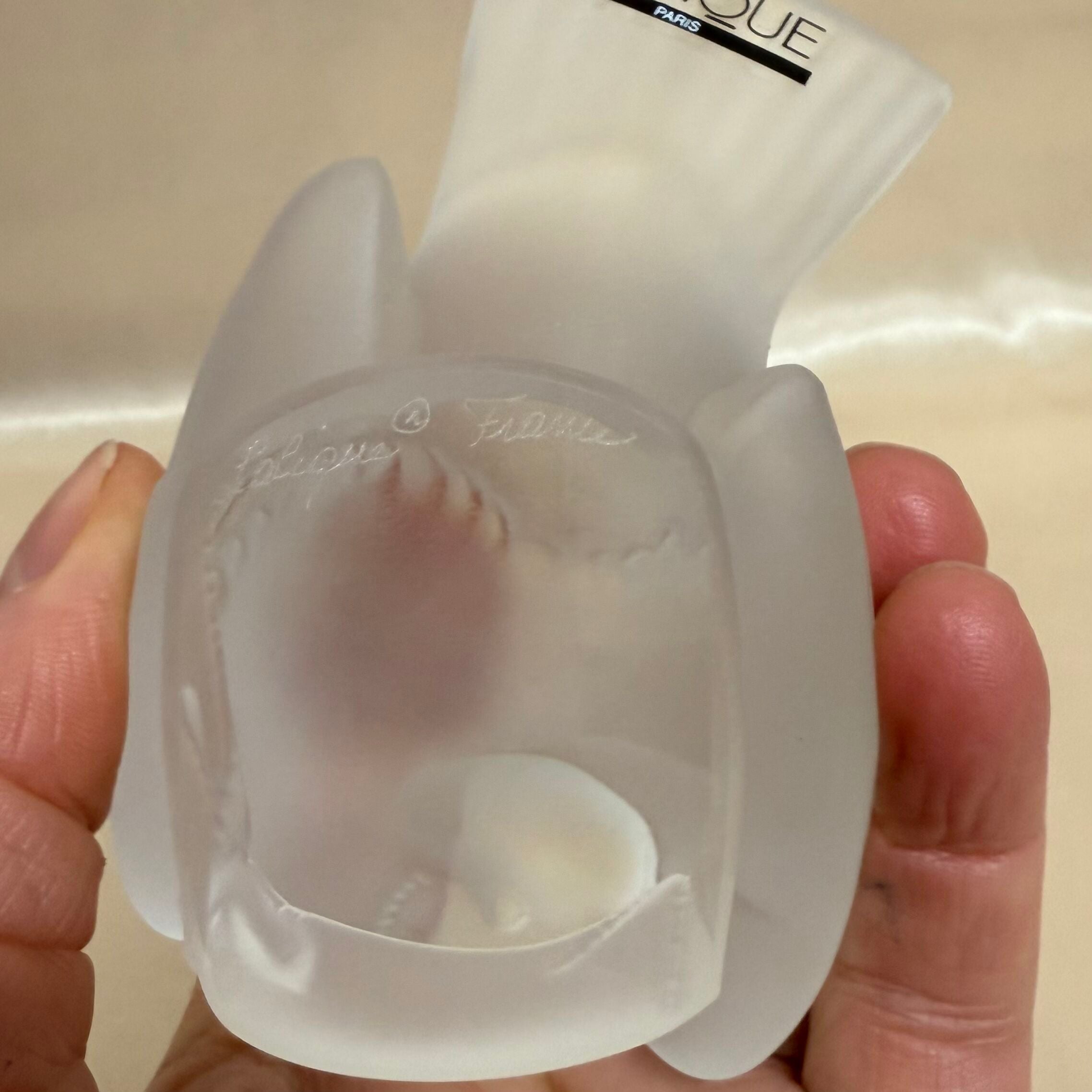 Lalique Crystal Clear Bird Figure 1160600