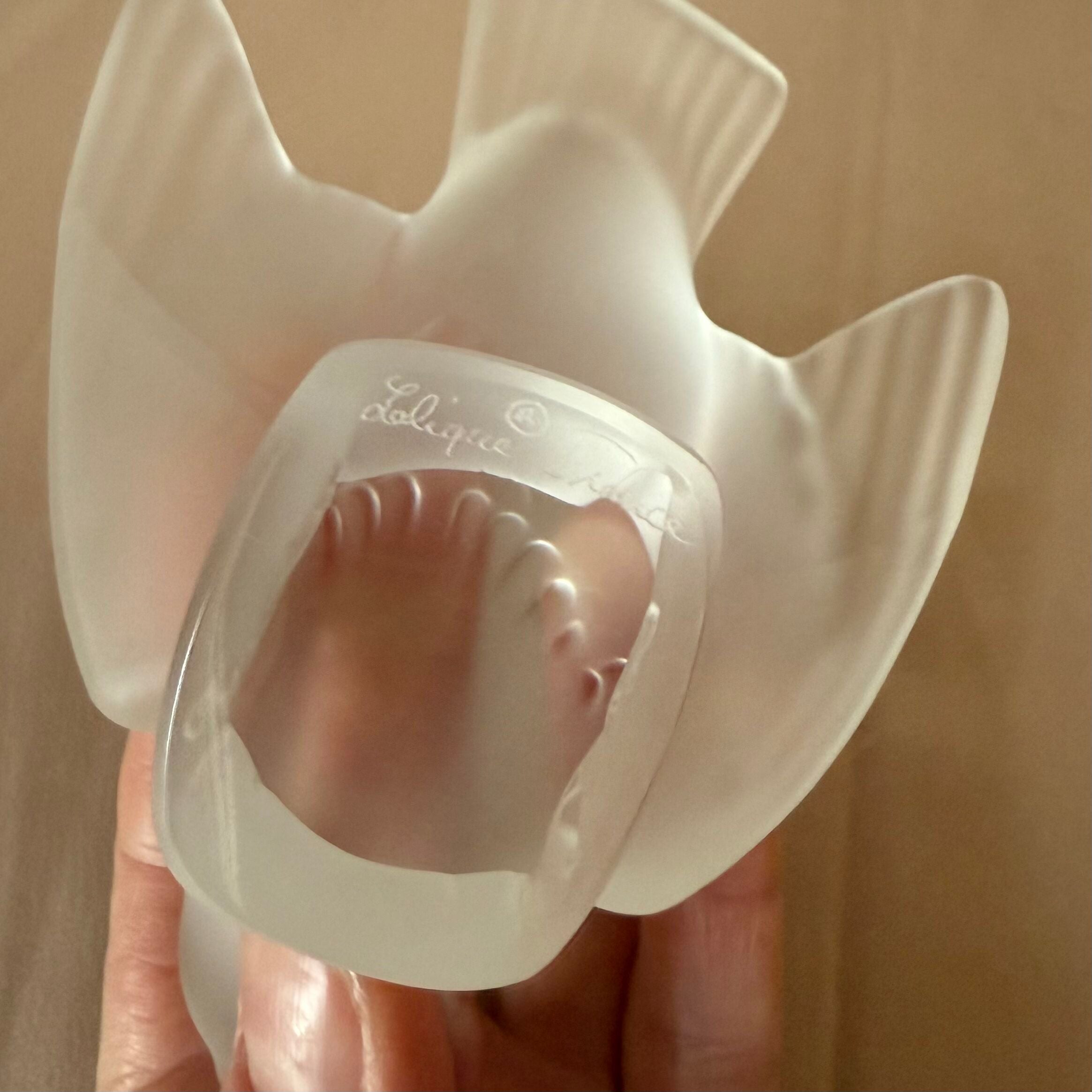 Lalique Crystal Clear Corrion Bird Figure 1160500