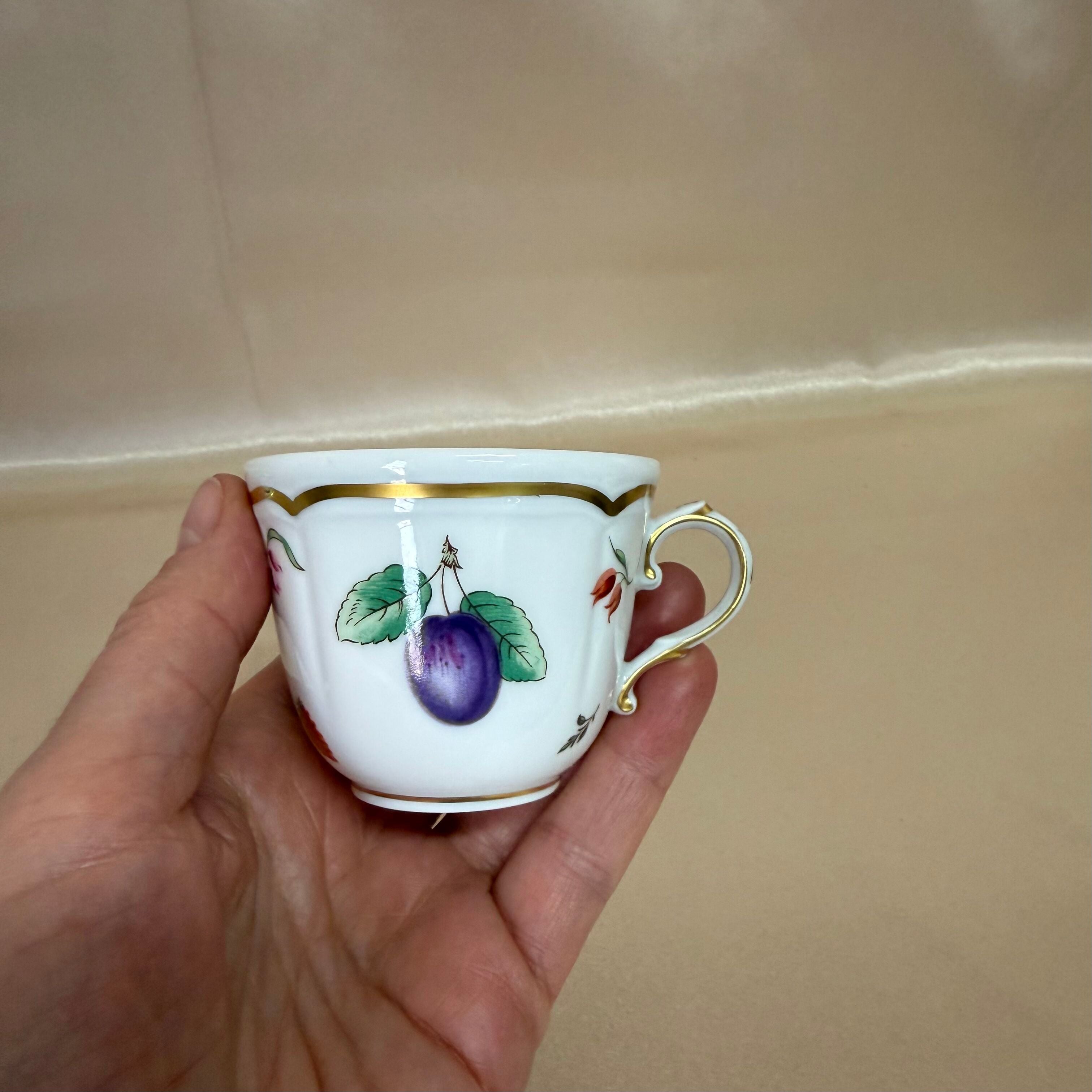 Richard Ginori Italian Fruits Antico Doccia Demitasse Espresso Cup Saucer Set of 6