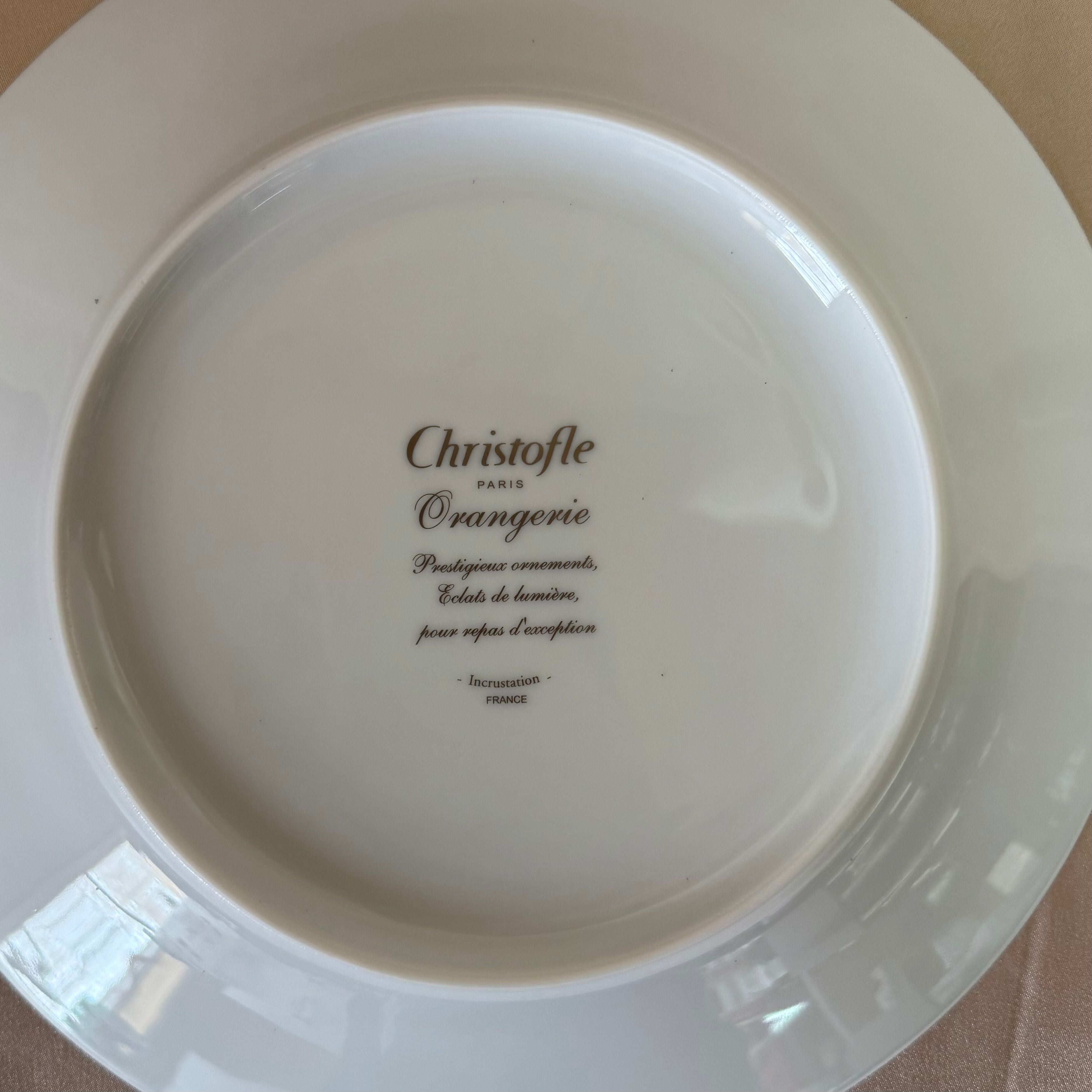 Christofle Orangerie Platinum Dinner Plate Set of 6 B0766111502