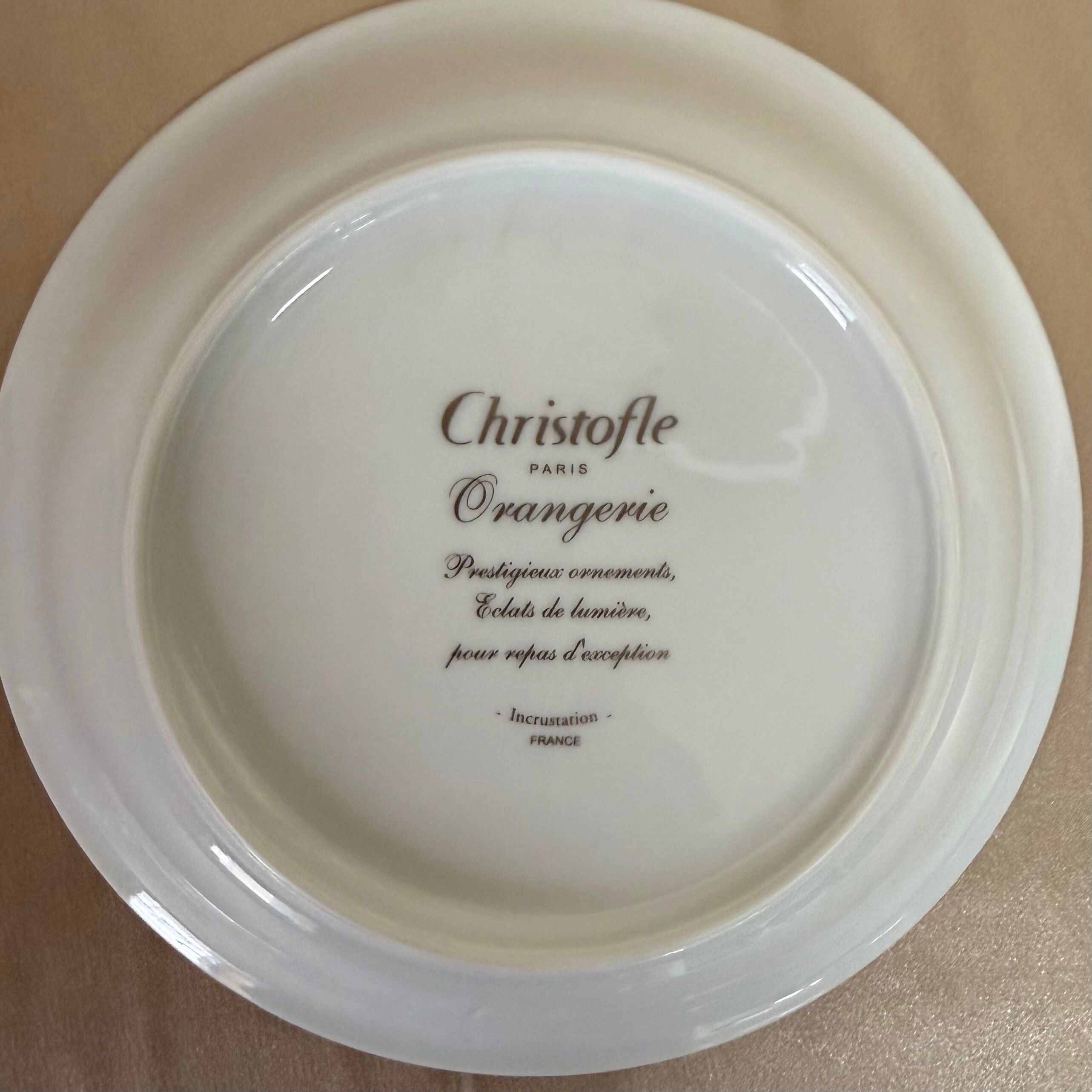 Christofle Orangerie Platinum Soup/Cereal Bowl Set of 6 B0766112002
