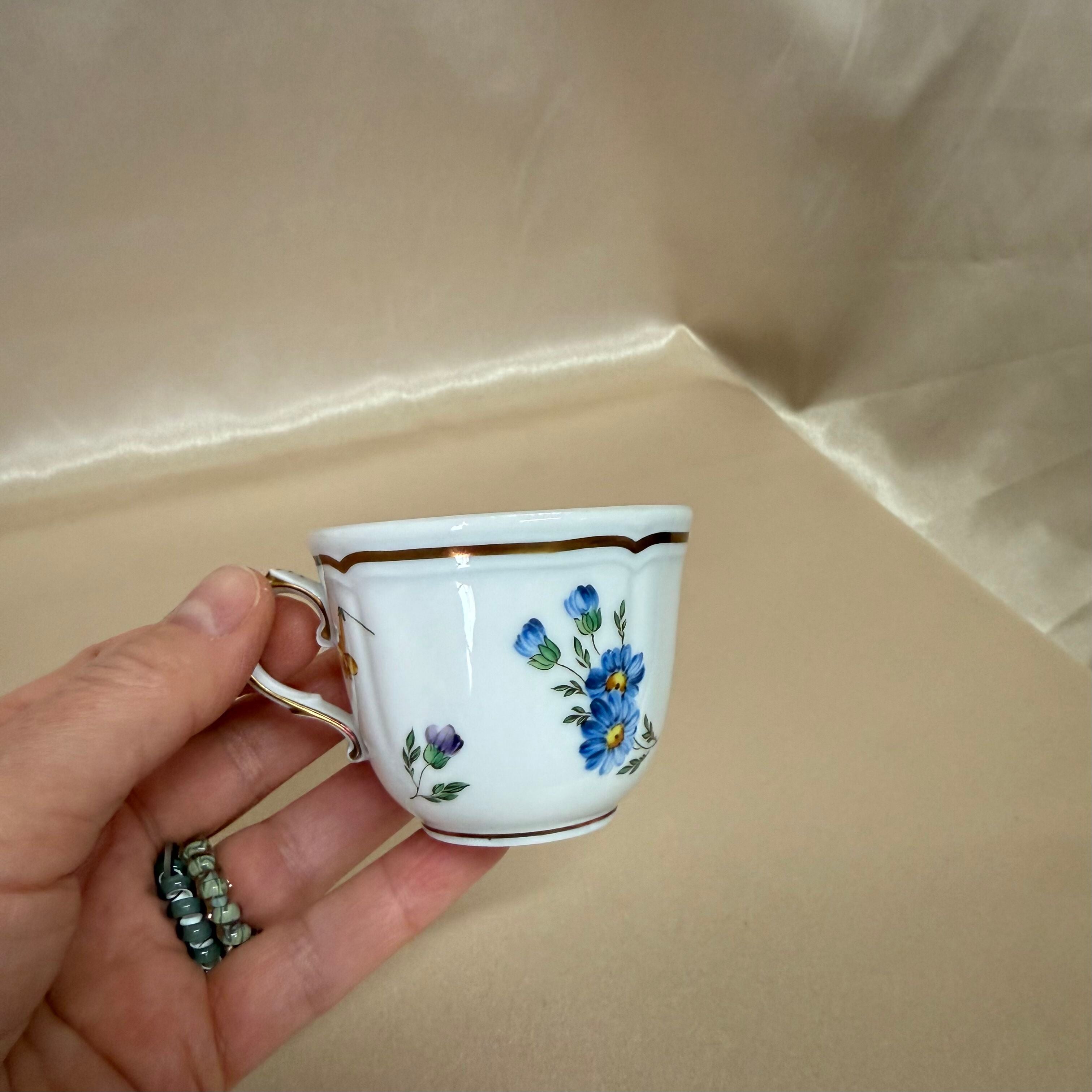 Richard Ginori Antico Doccia Italian Fruits 5 pc Dinner Place Setting