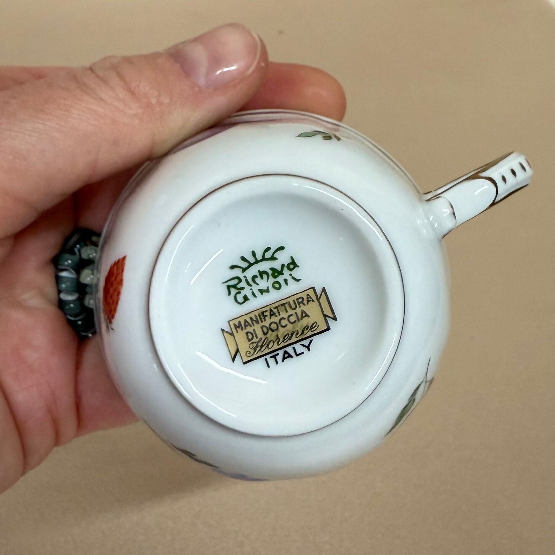 Richard Ginori Antico Doccia Italian Fruits 5 pc Dinner Place Setting