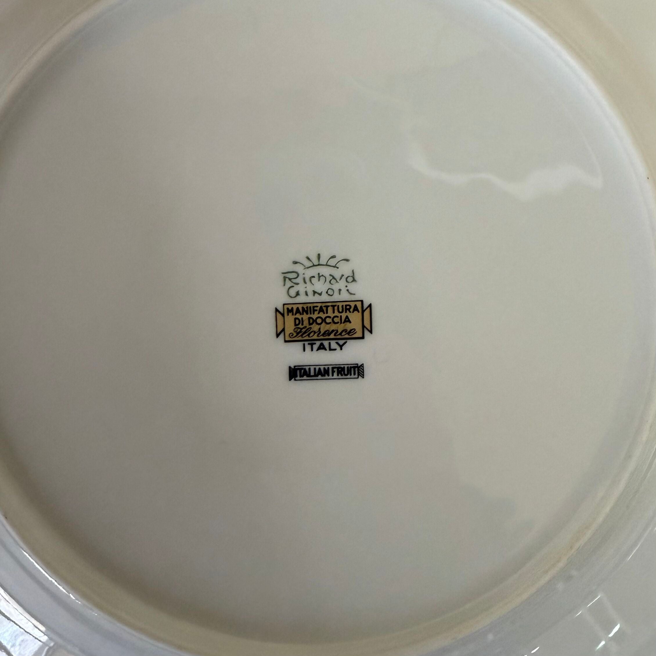 Richard Ginori Antico Doccia Italian Fruits 5 pc Dinner Place Setting