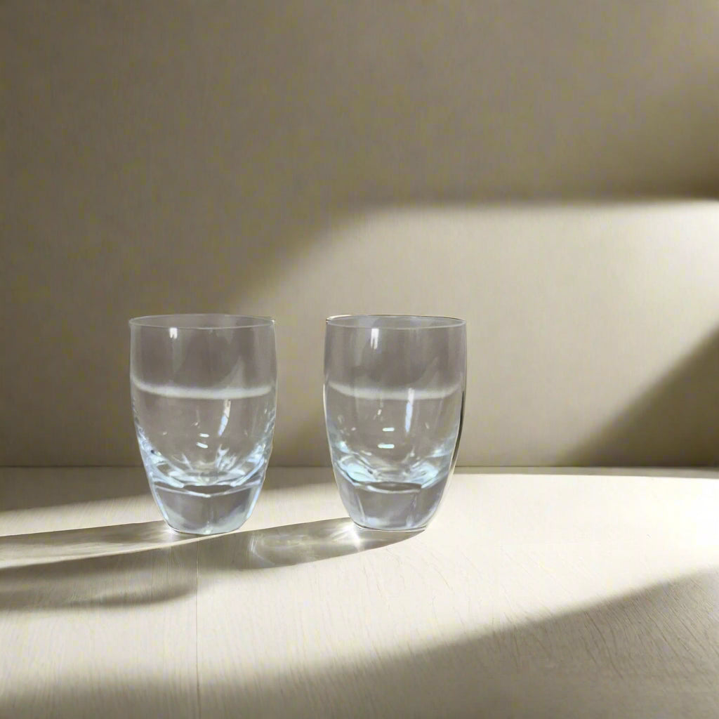 Lalique Crystal Shot Glass Set of 2