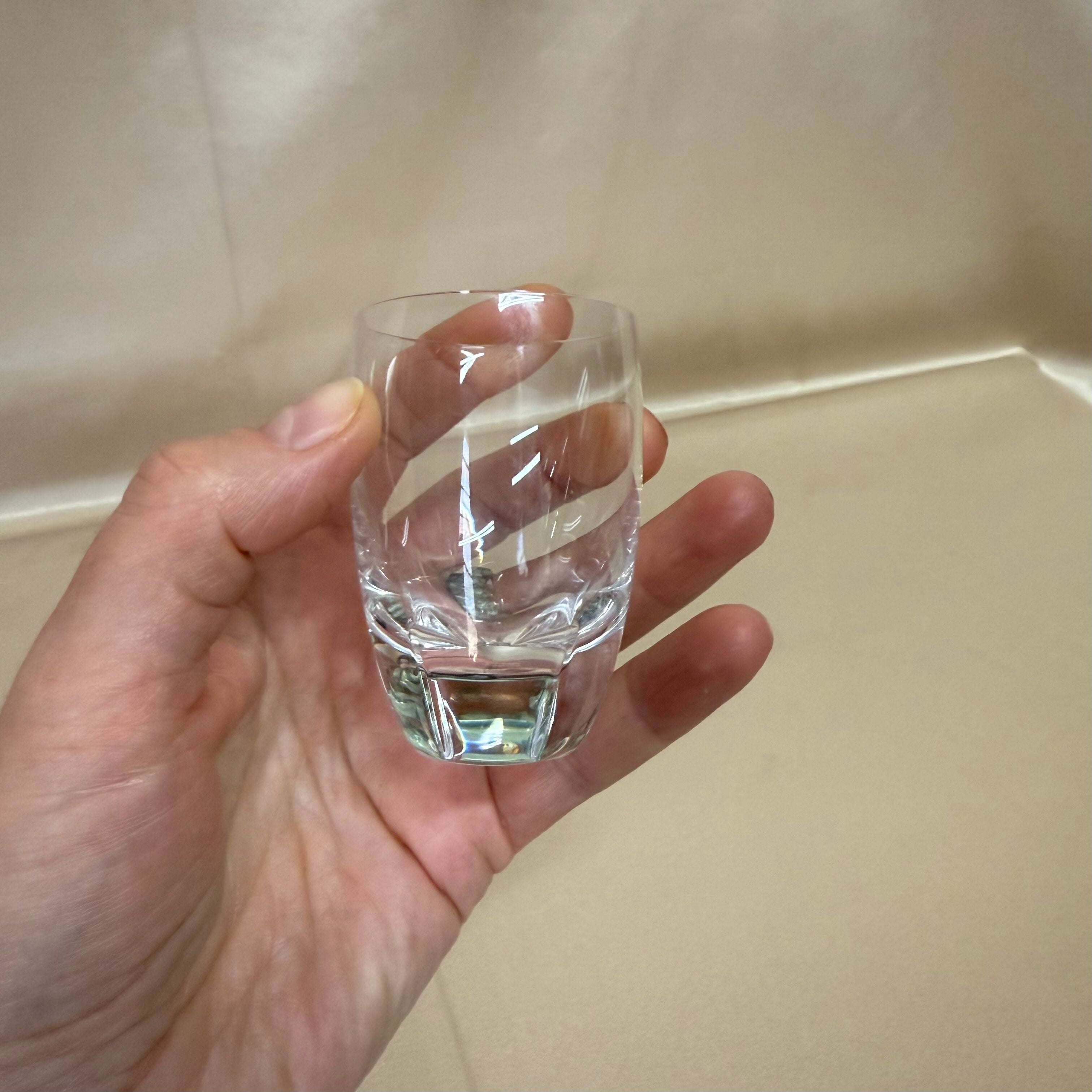 Lalique Crystal Shot Glass Set of 2