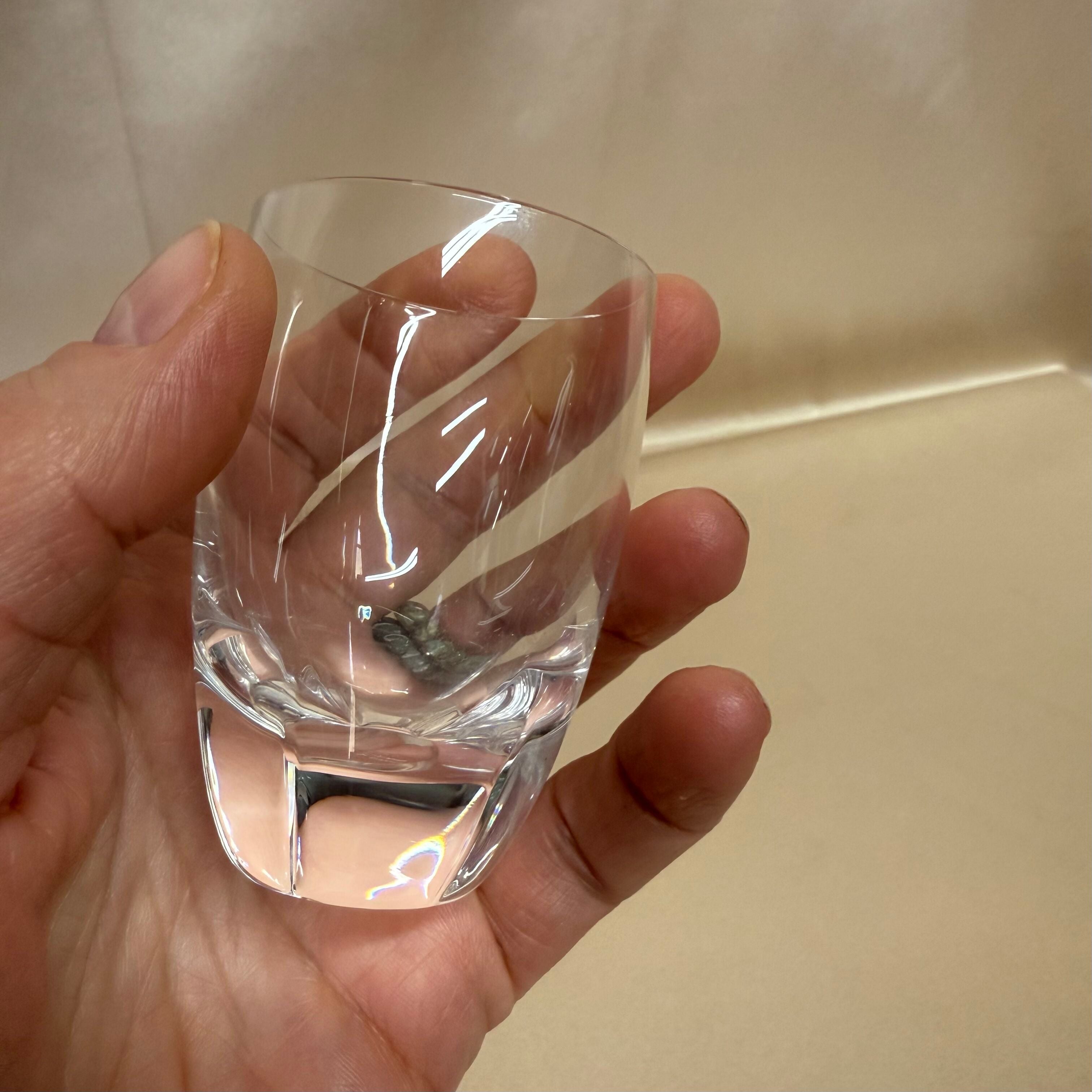 Lalique Crystal Shot Glass Set of 2