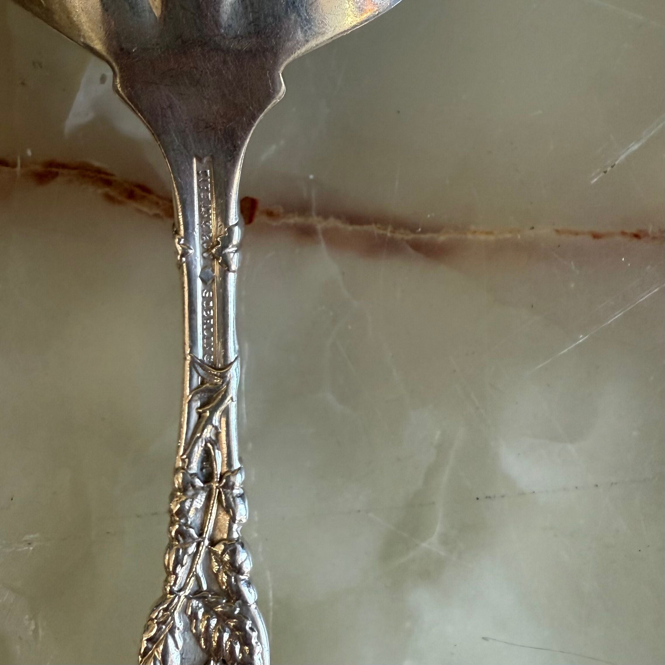 Tiffany & Co Raspberry Vine Sterling Silver Sugar Sifter Spoon