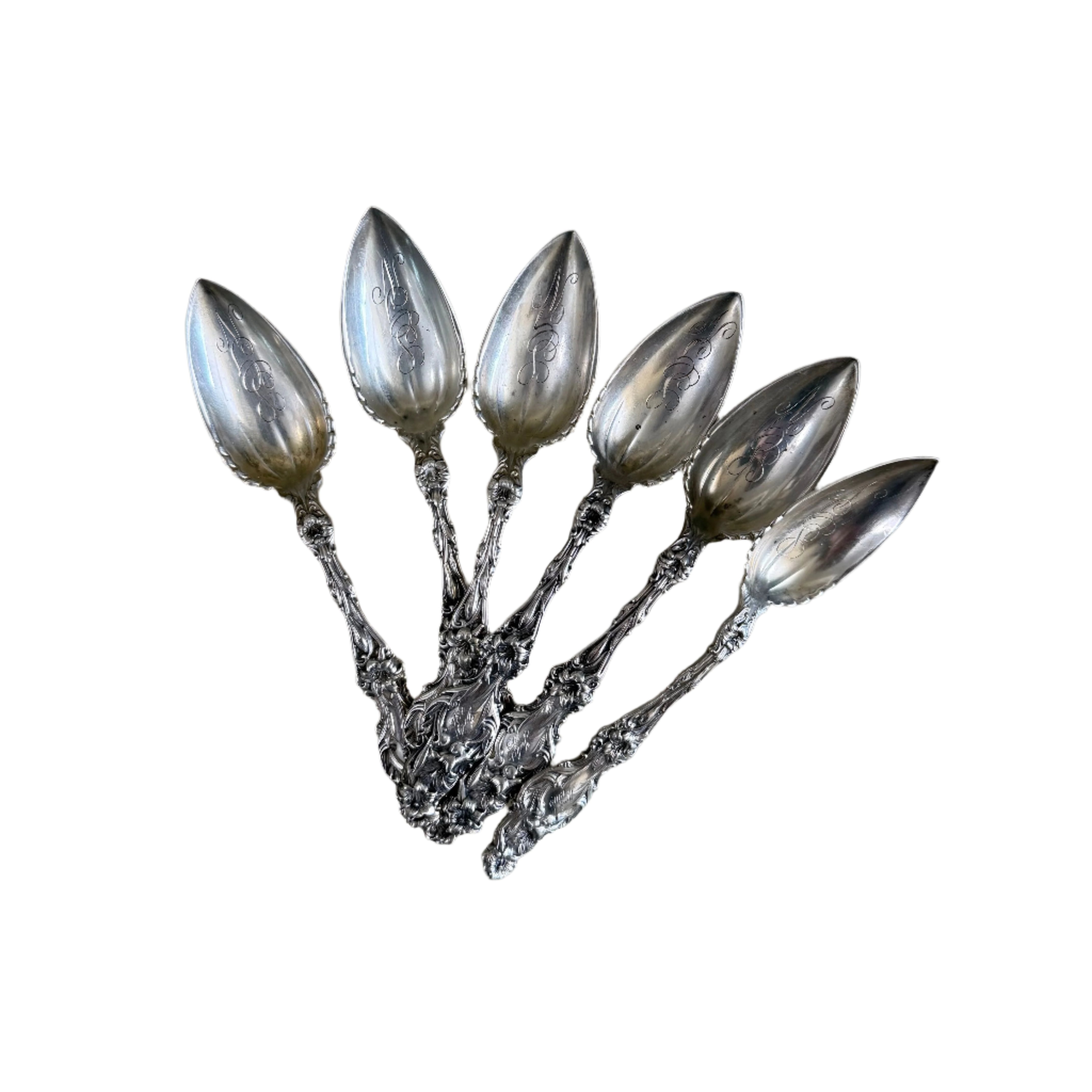 Whiting Lily Sterling Fruit Orange Spoon Set of 6