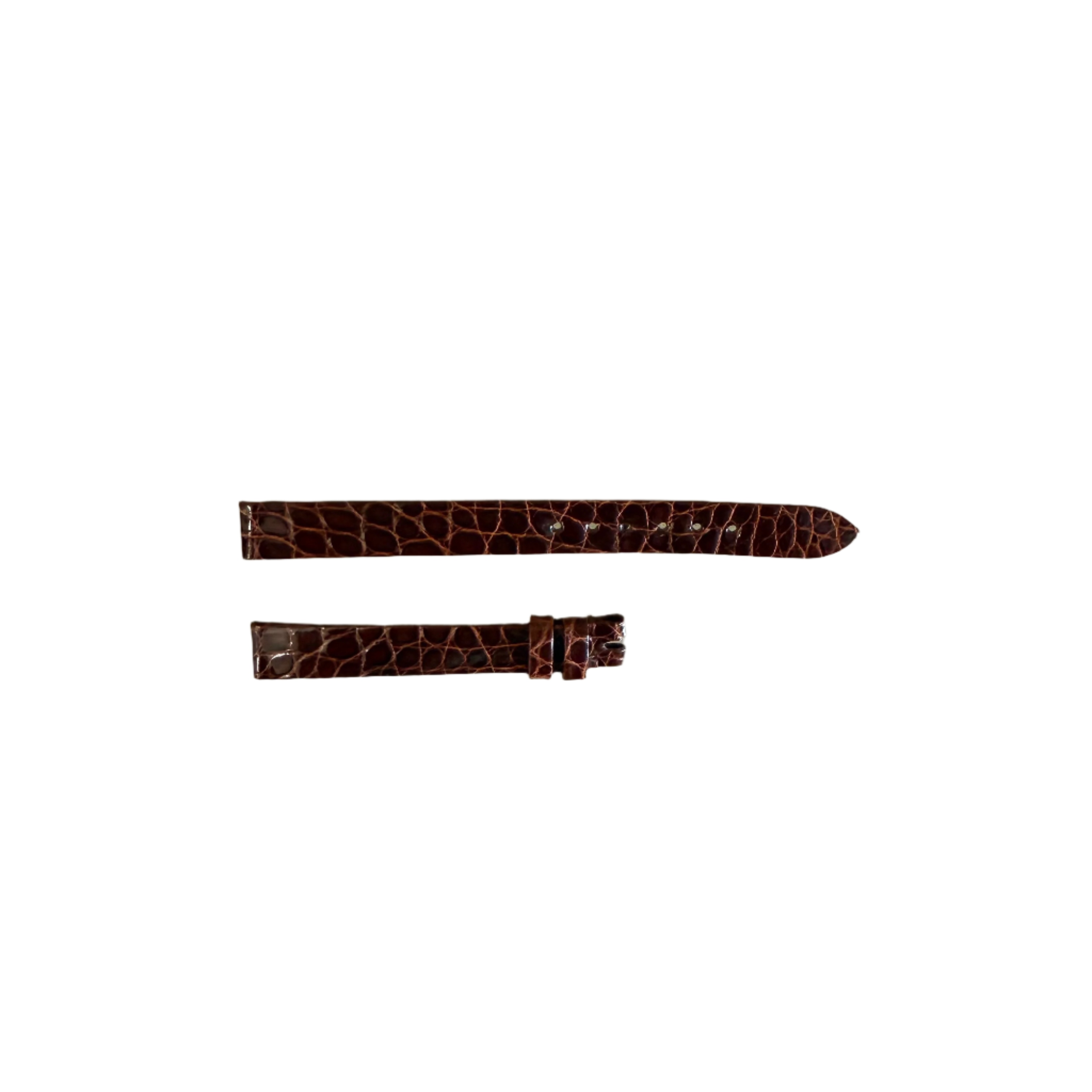 Authentic Patek Philippe Brown Alligator Watch Strap Band 10mm