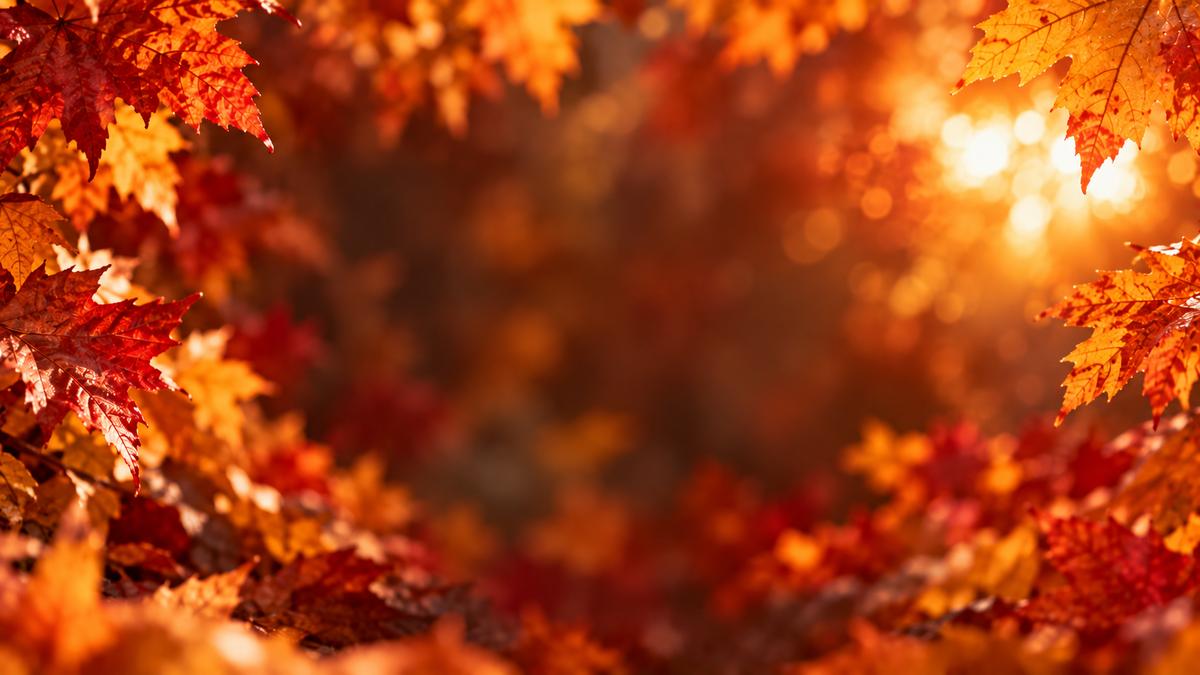 Fall Sale