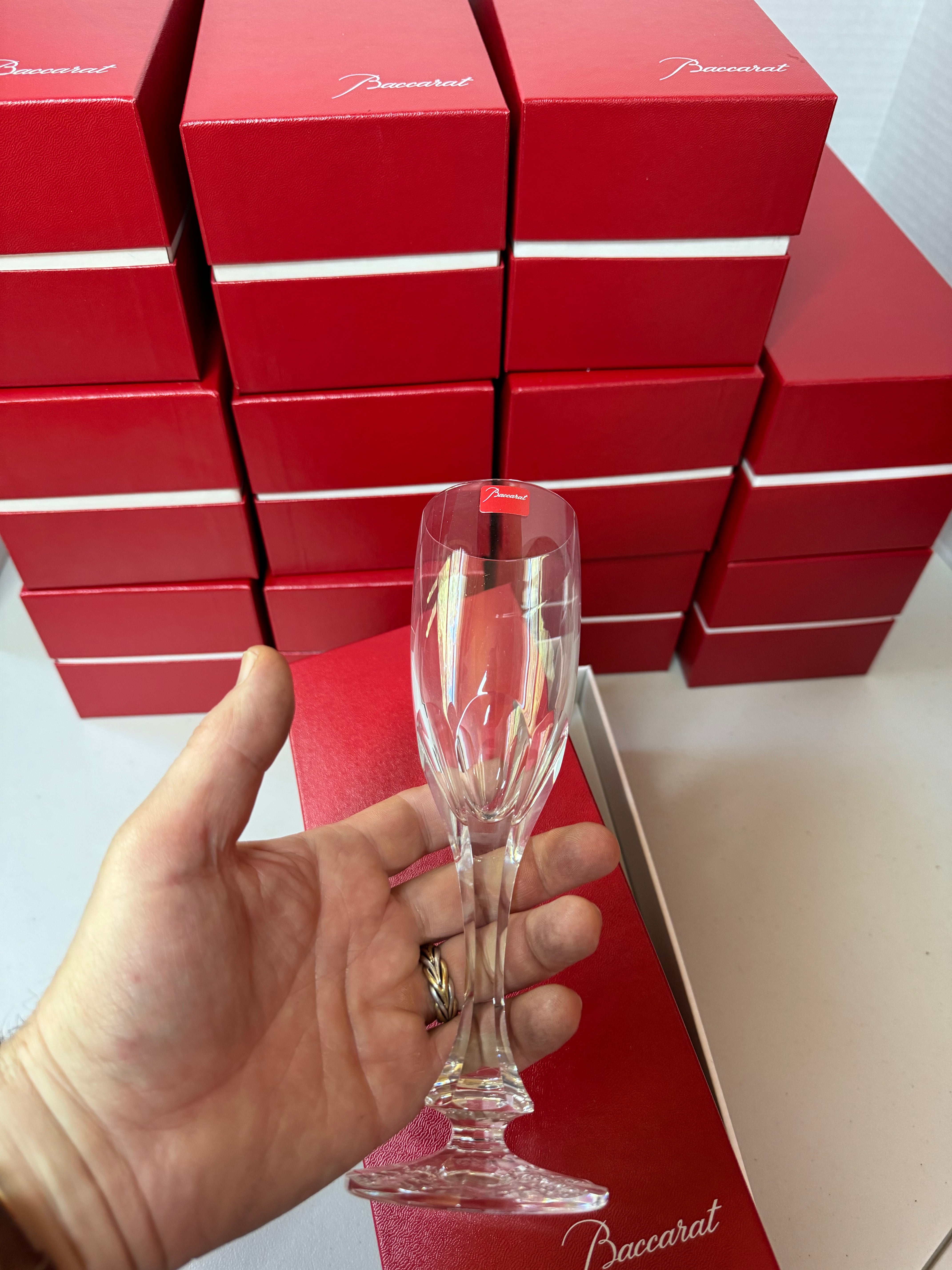 Baccarat Monaco Champagne Glass Set of 12 1216109