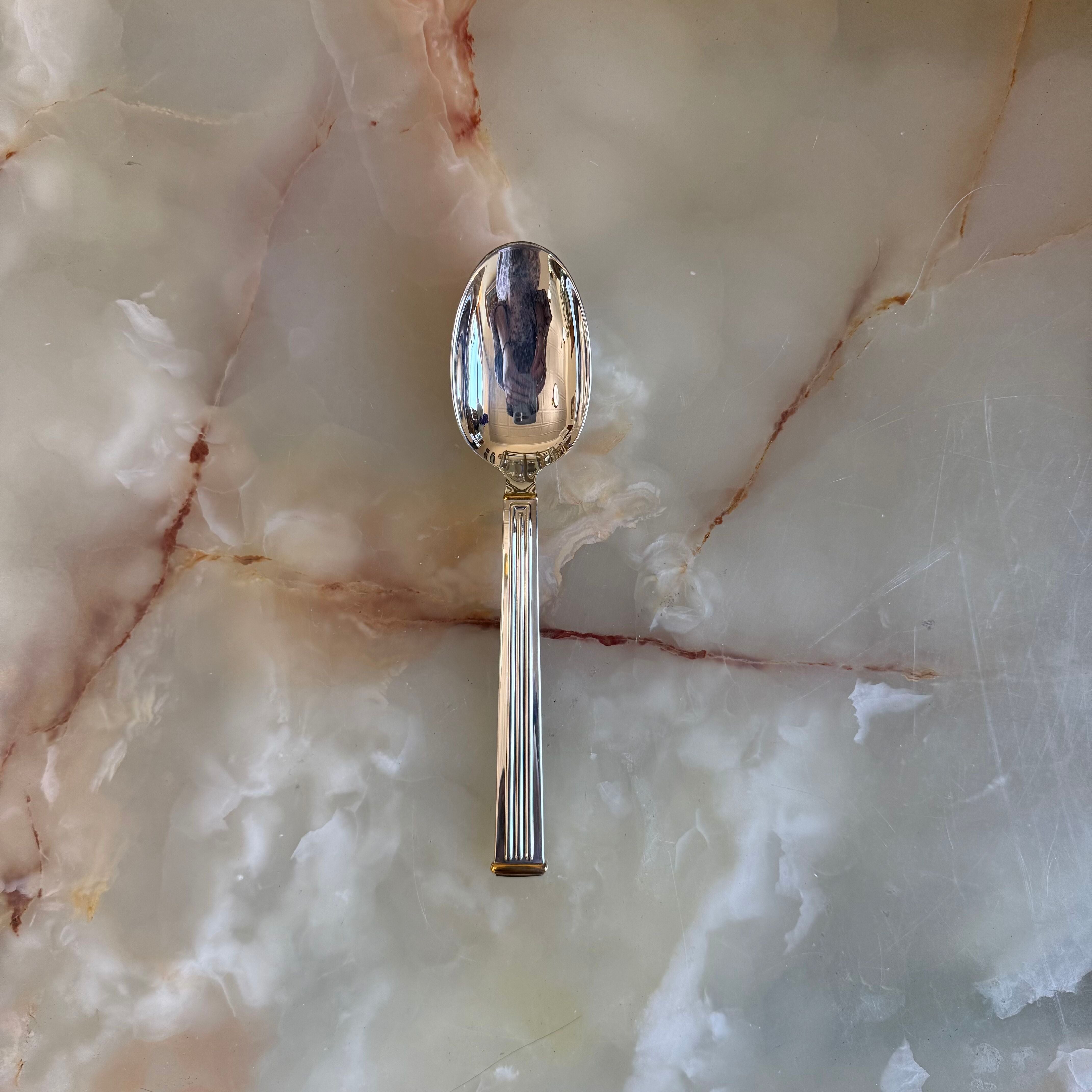 Christofle Triade Gold Rings Silver Plated Table Spoon Set of 5 1036002