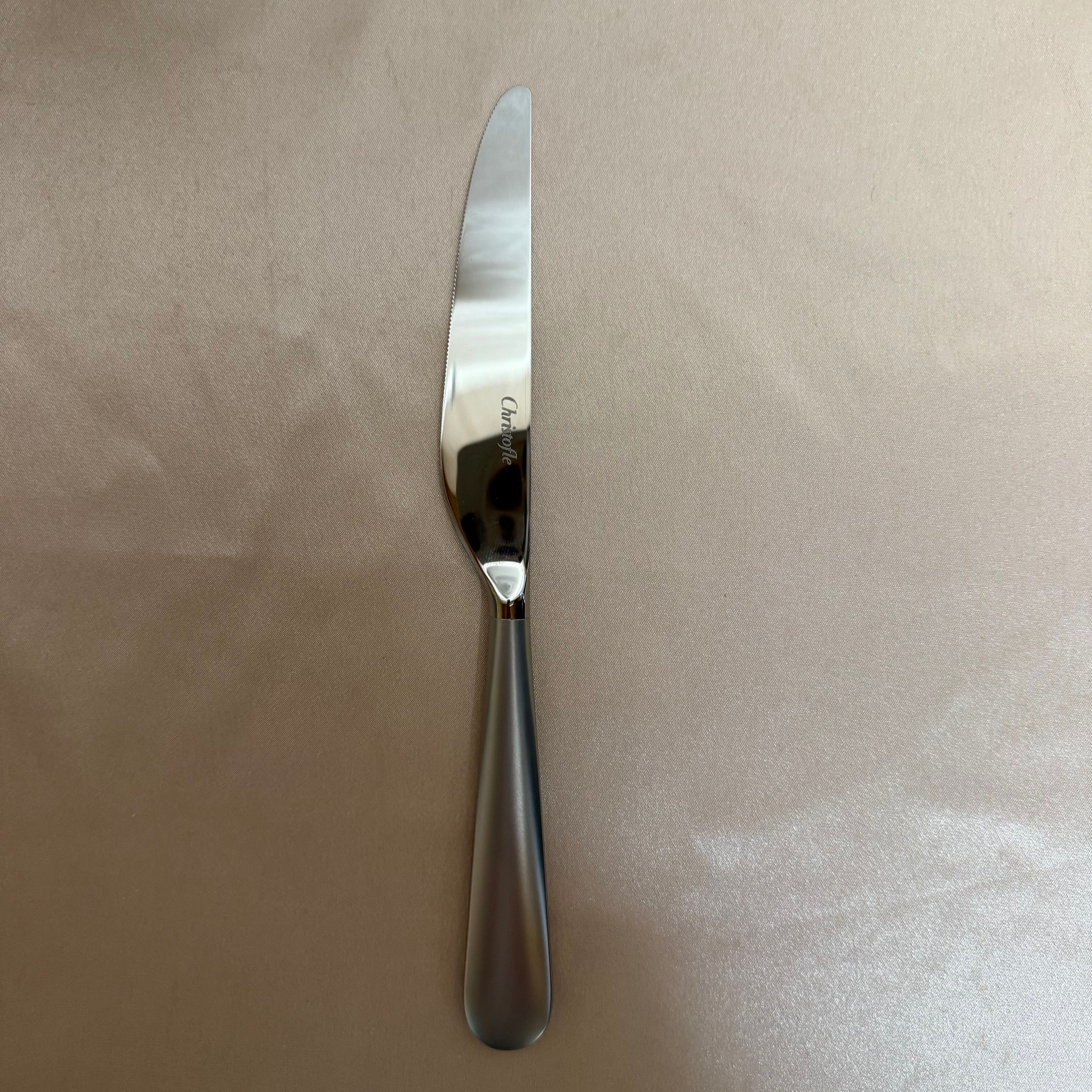 Christofle Origine Matte Stainless Steel Dinner Knife Set of 12 2452012