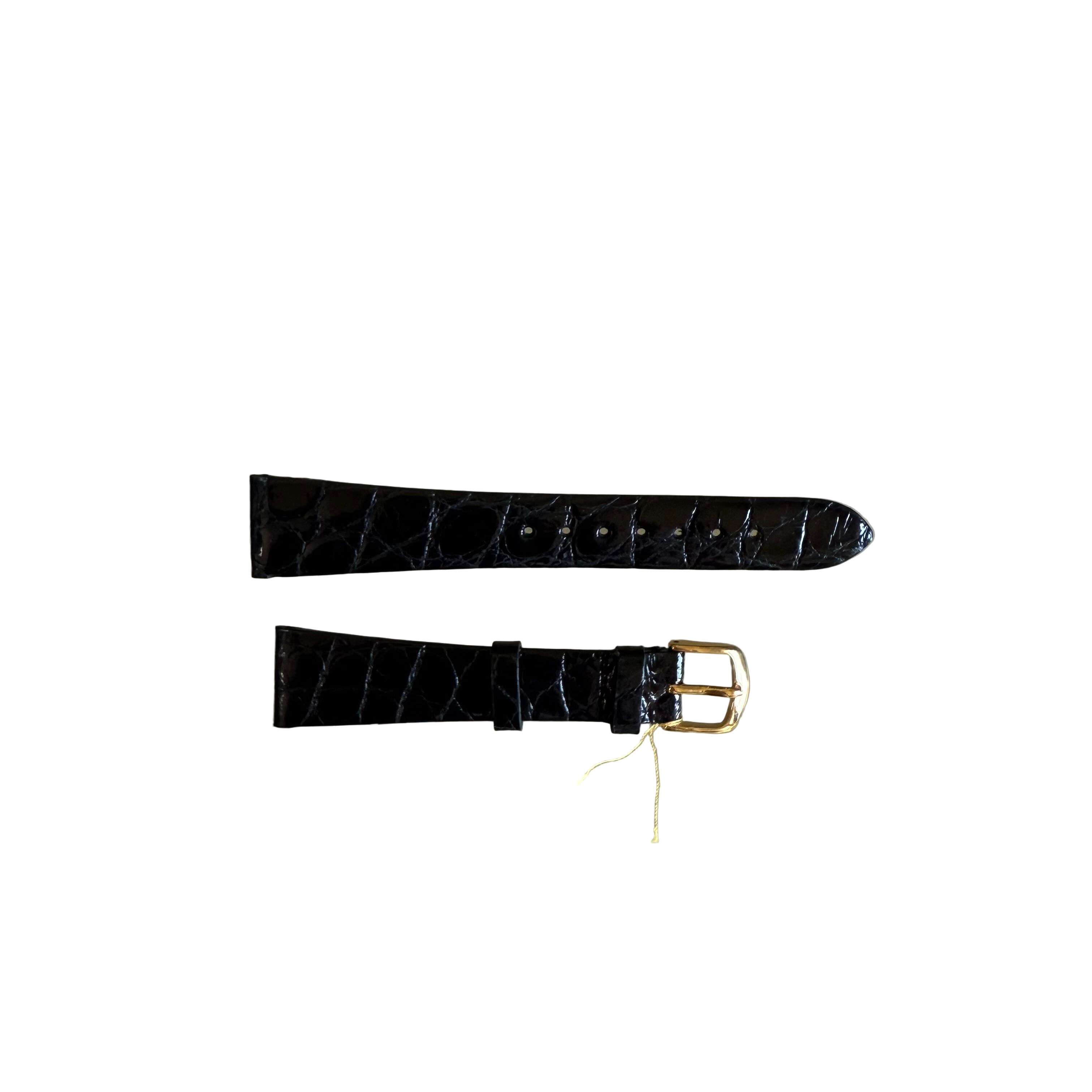Genuine Alligator Watch Strap Band 19mm with Buckle