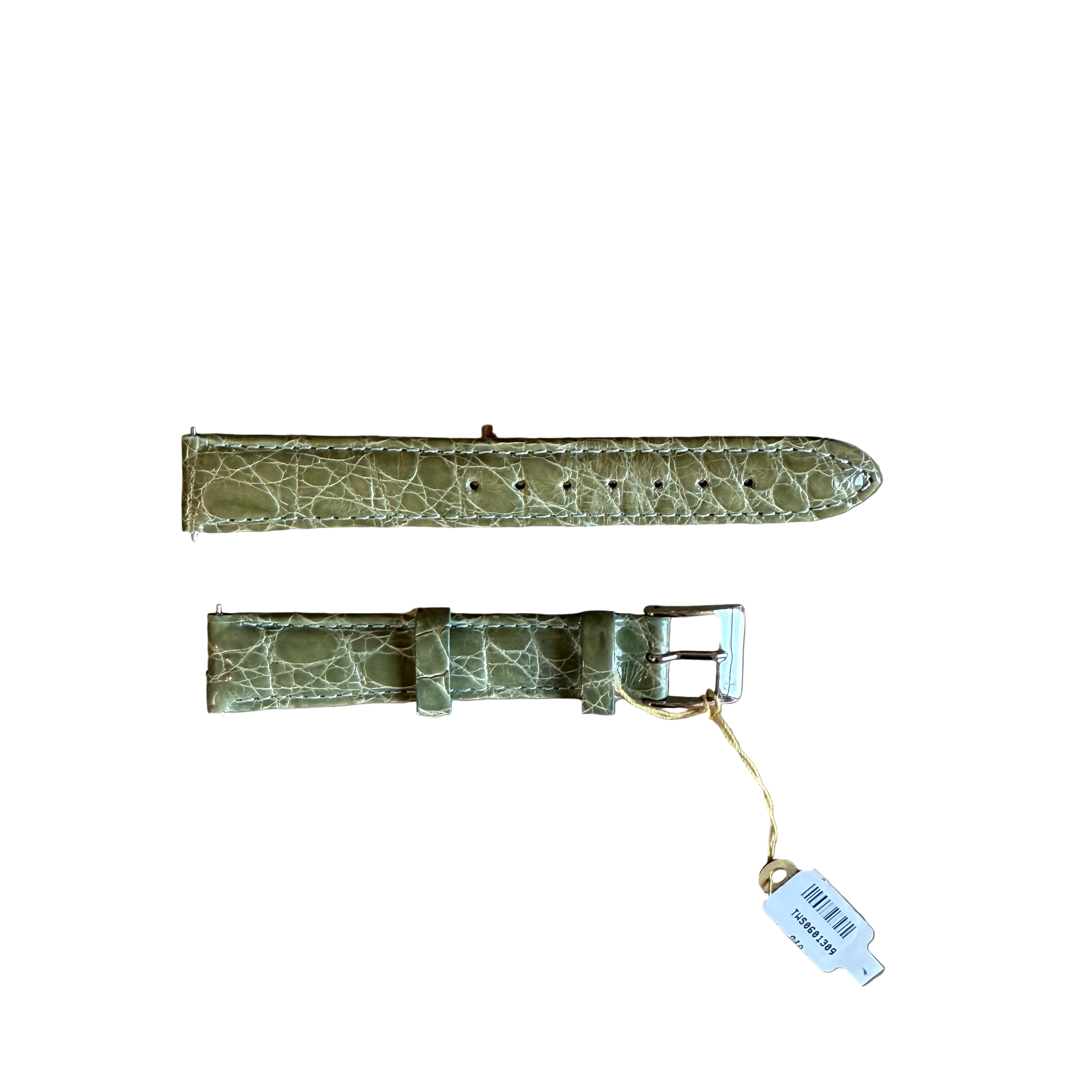 Genuine Crocodile Green Watch Strap Band 15mm Padded & Stitched w Buckle