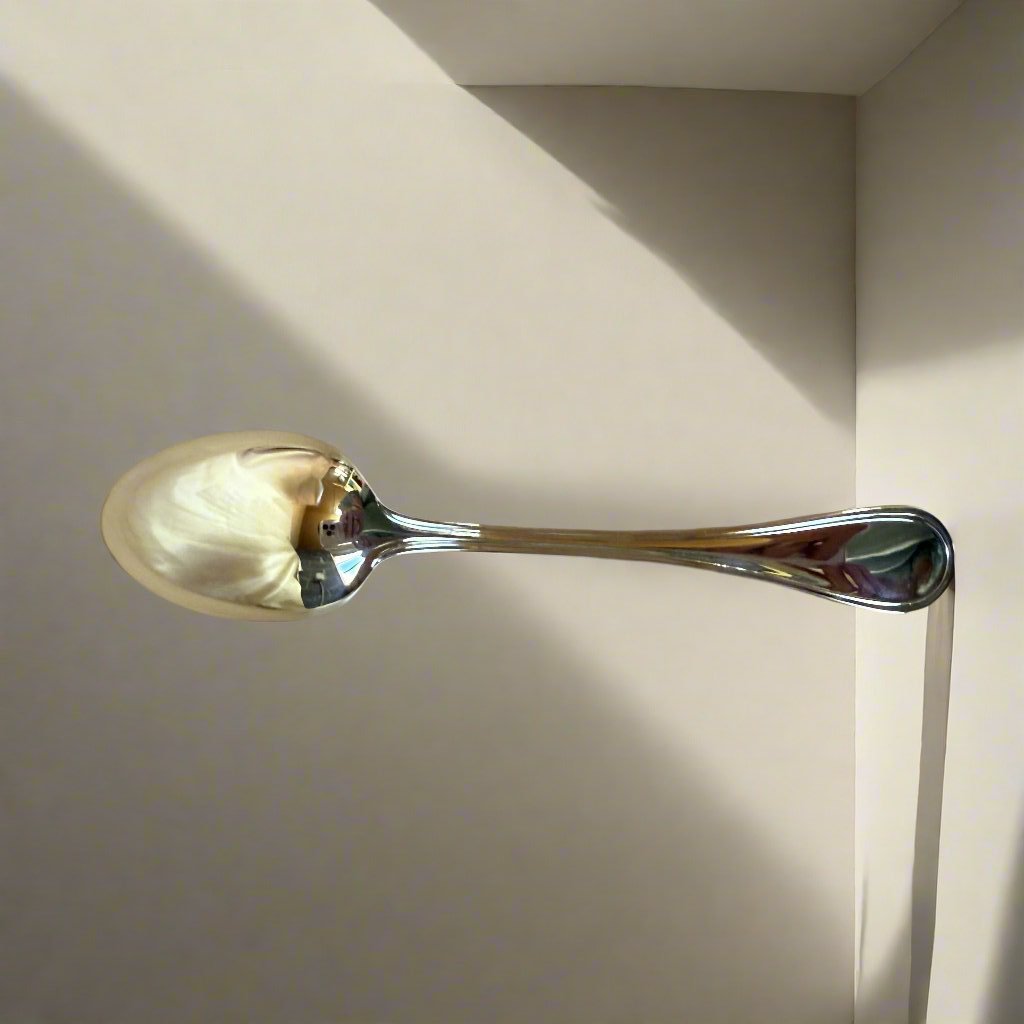 New Christofle Albi Baby Birthday Spoon B00021118