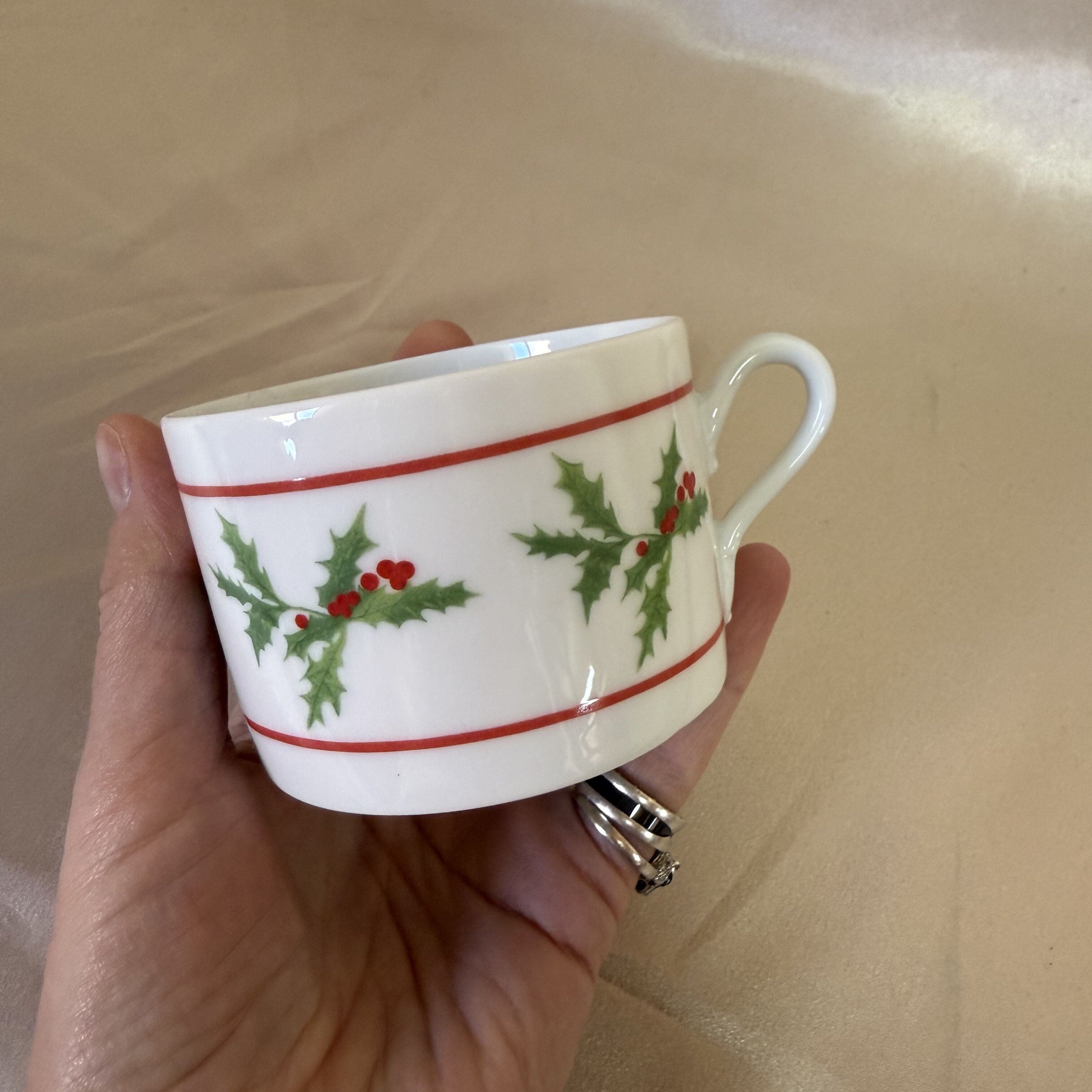 Richard Ginori Holly Berry Tea Cup and Saucer Set of 2 136917817035