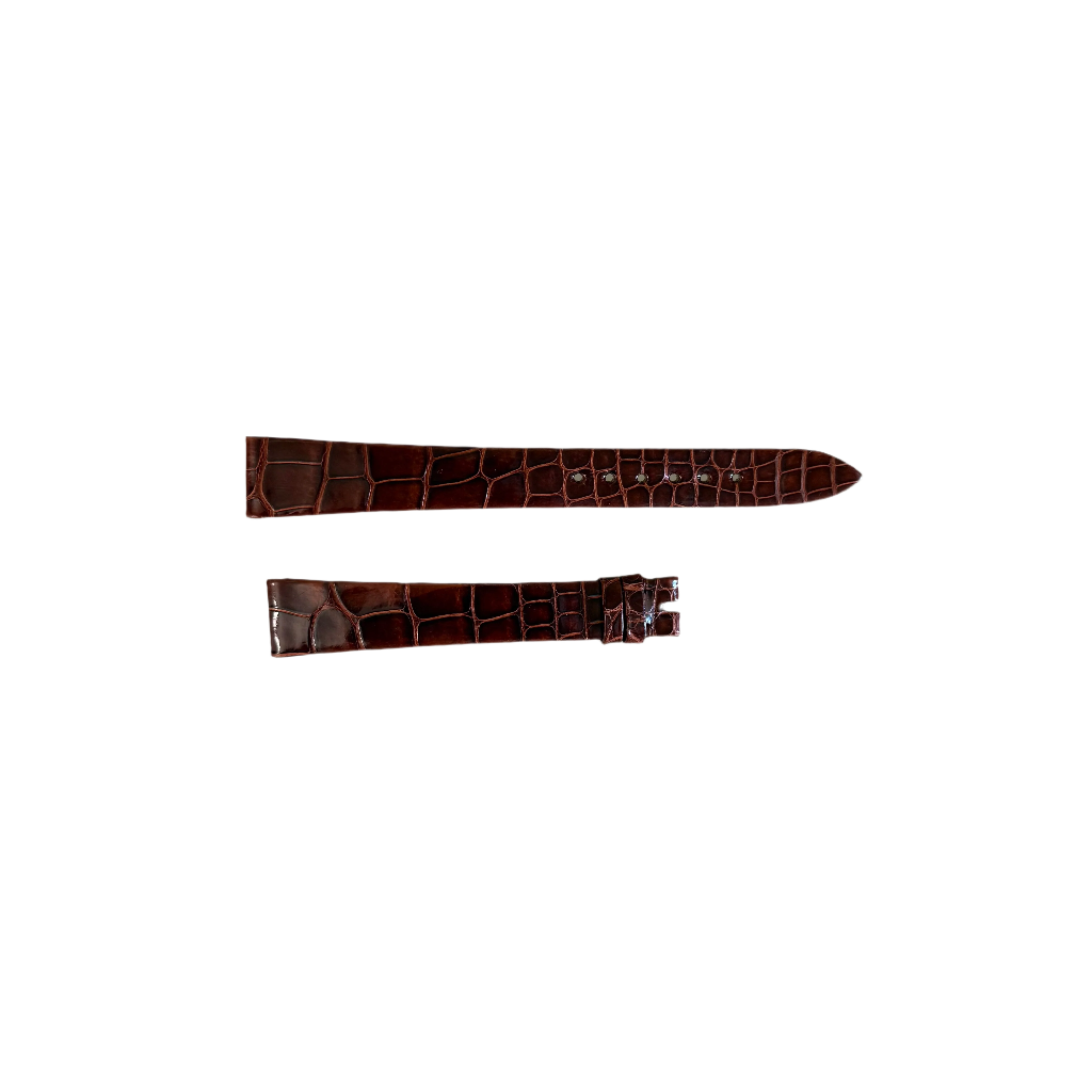 Authentic Patek Philippe Shiny Brown Alligator Watch Strap Band 16mm