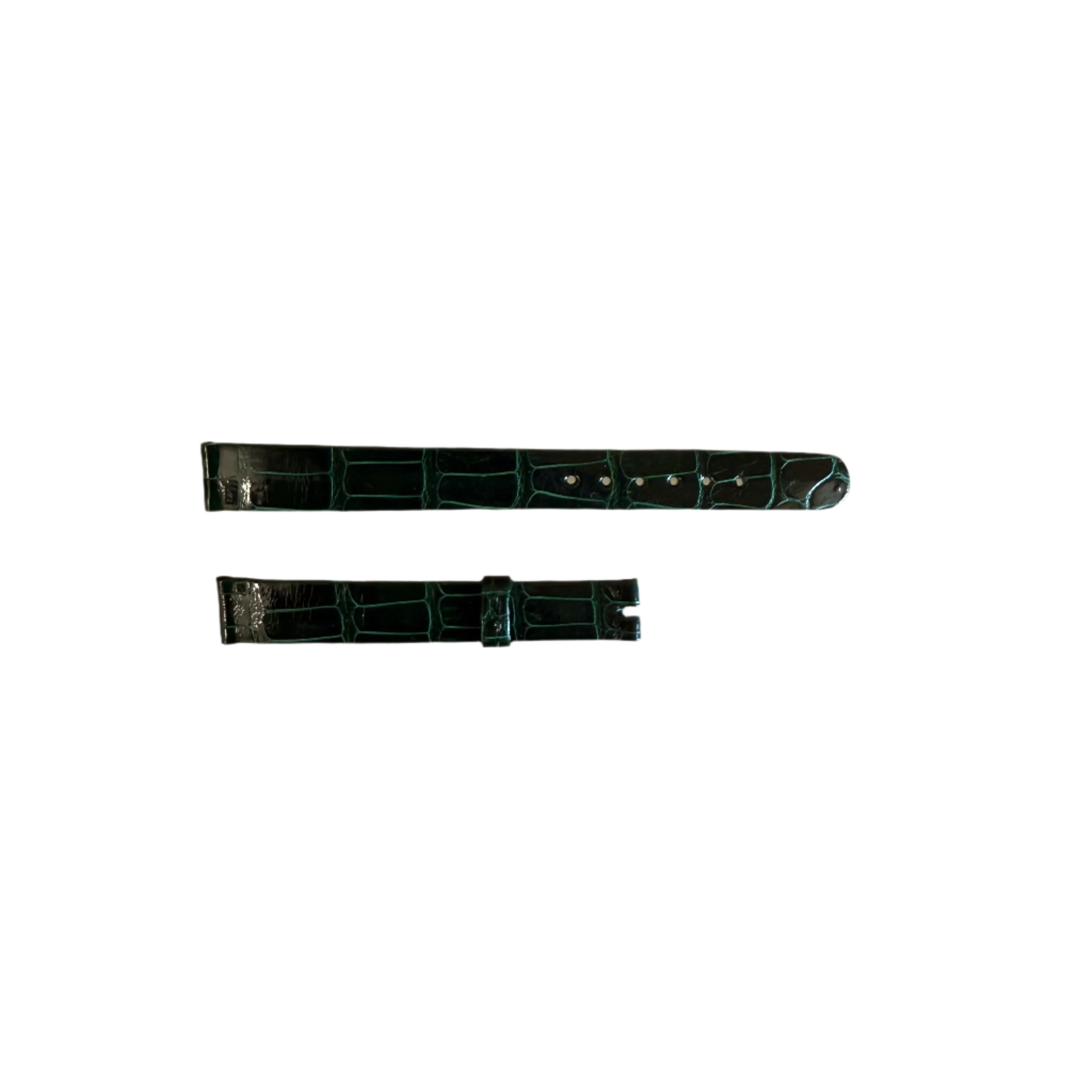 Authentic Patek Philippe Shiny Green Alligator Watch Strap Band 12mm