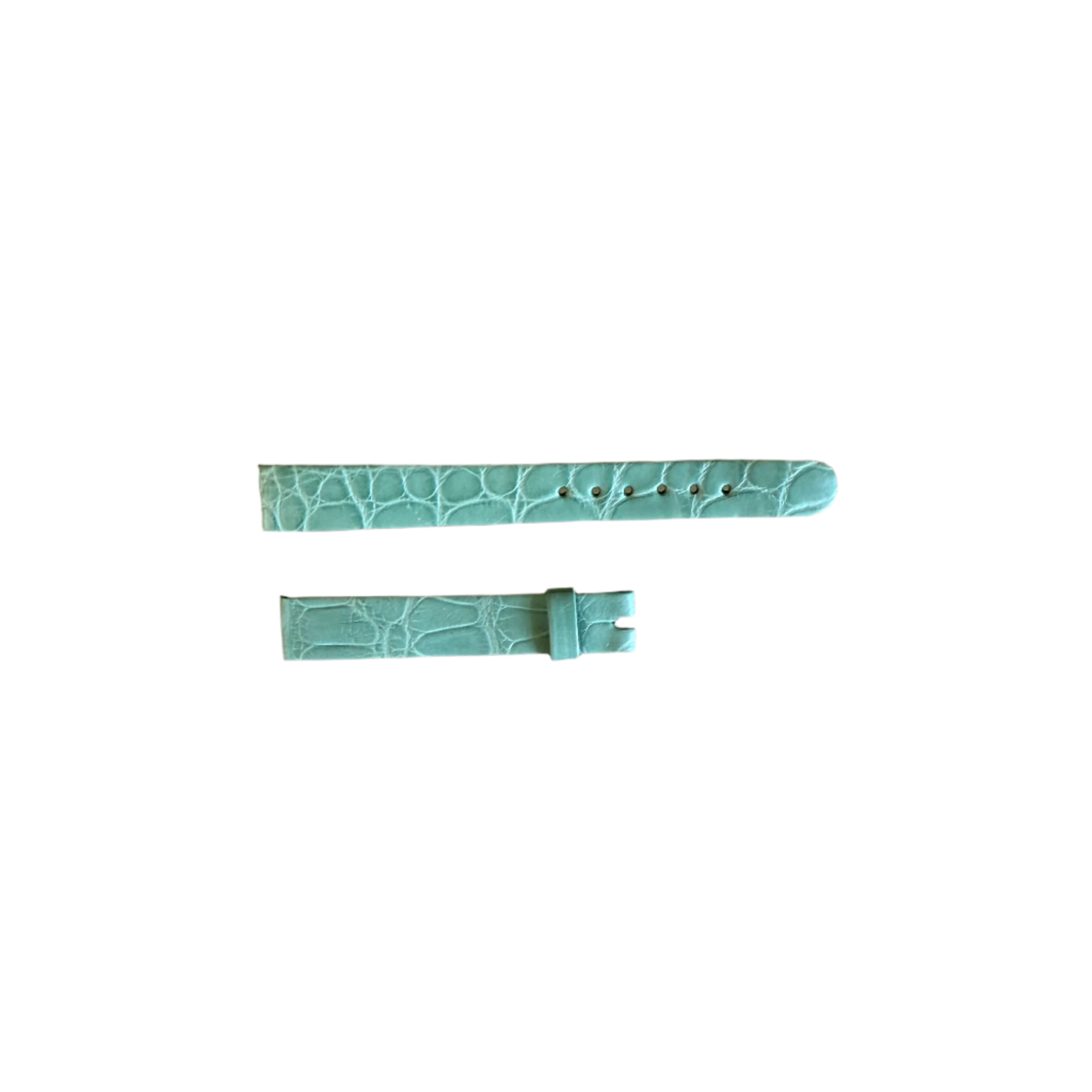 Authentic Patek Philippe Turquoise Alligator Watch Strap Band 12mm